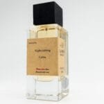 Inspired by Nightclubbing Celine - Image 2