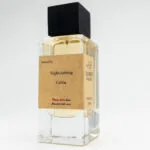 Inspired by Nightclubbing Celine - الصورة 2