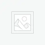 عنصر نائب Placeholder